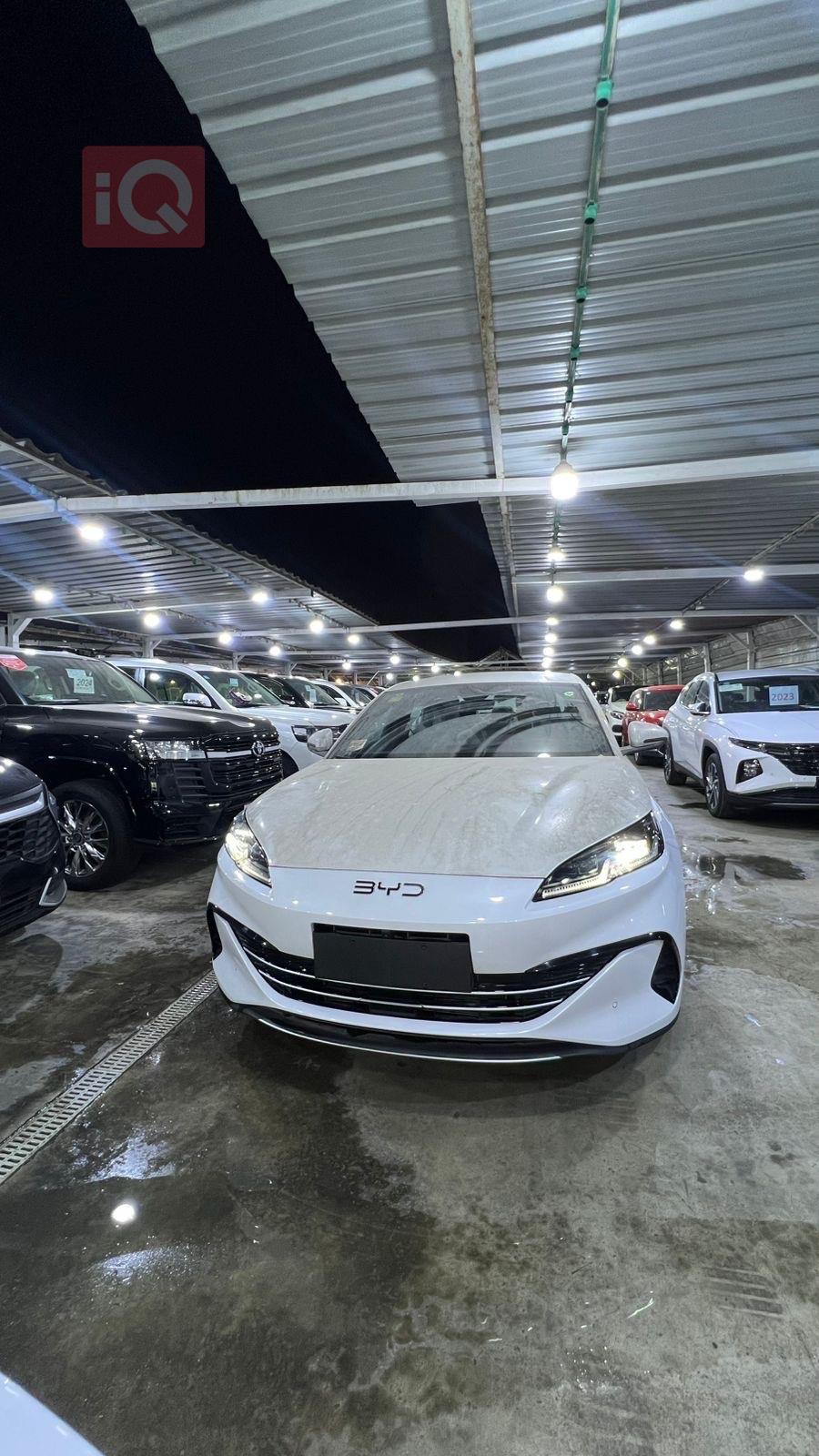 بي واي دي سيل 06 DM-i